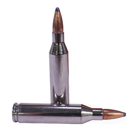 243 Winchester - Premium Vital-Shok, 100 Grains, Sierra GameKing Soft Point Boat Tail, Per 20