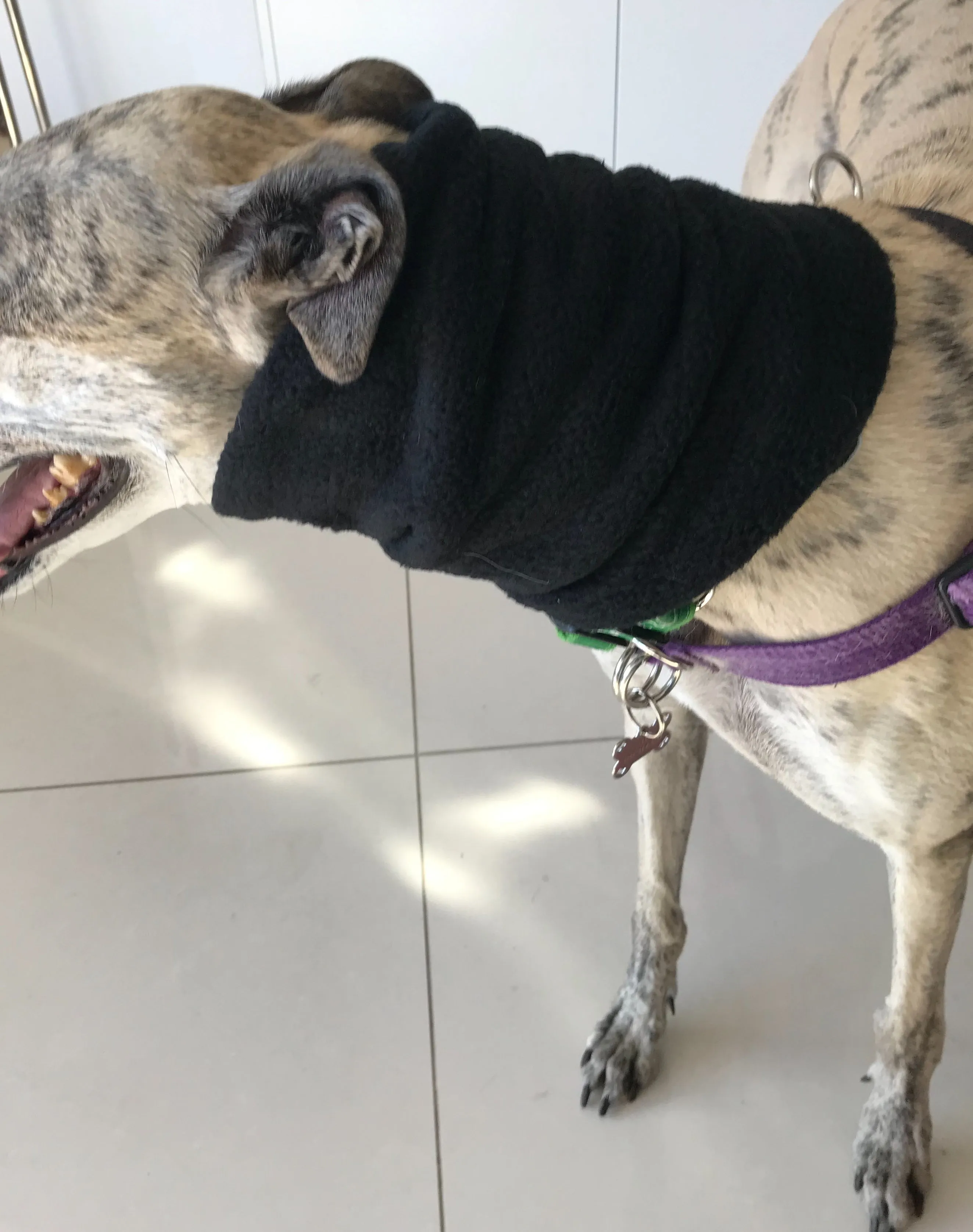 Greyhound fleece extra wide collar scarf snood neck warmer