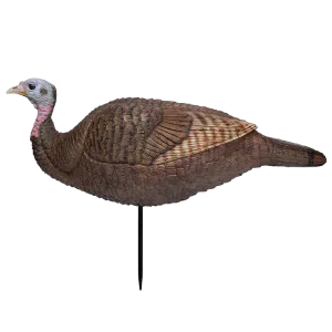 Lil Gobbstopper Hen Turkey Decoy