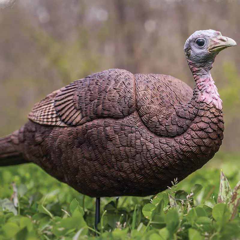 Lil Gobbstopper Hen Turkey Decoy